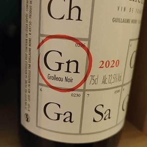 Gn - Guillaume Noire - guillaume-noire