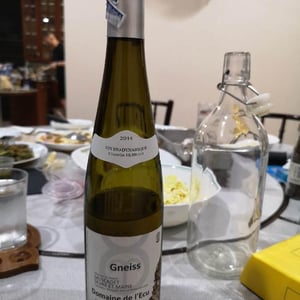Gneiss - Domaine de L'Ecu - Claire & Fred NIGER 