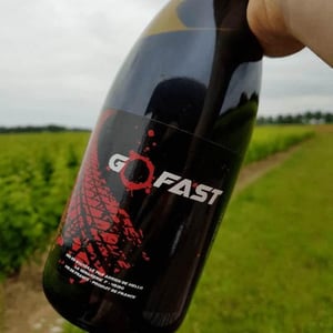 Domaine de la Petite Soeur - Adrien de Mello - Go Fast