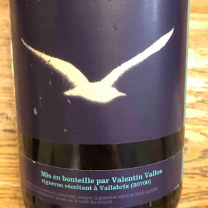 Valentin Valles - Valentin Valles - Goéland