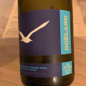 Goéland - Valentin Valles - Valentin Valles 