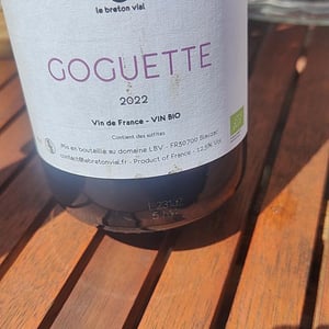 Goguette - Le Breton Vial - Julie Le Breton & Christophe Vial 