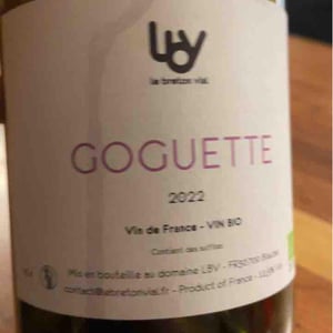 Goguette - Le Breton Vial - Julie Le Breton & Christophe Vial 