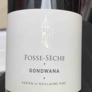 Gondwana - Château de Fosse-Sèche - adrien-guillaume-pire