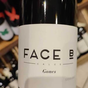 Gones - Face B - Séverin Barioz & Mathilde Barioz - Ceccon -2020