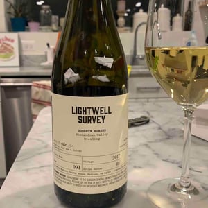 Goodbye Horses - Lightwell Survey - lightwell-survey