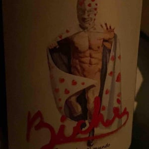 Gordo Guapo - Bichi Wines - Noel Tellez -2021