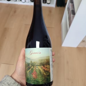 Gorrion - Jorge Olivera vinos - jorge-olivera -2022