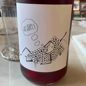 Broc Cellars - Chris Brockway - Got Grapes