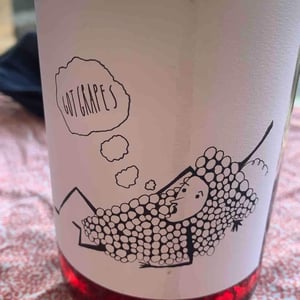 Got Grapes - Broc Cellars - Chris Brockway 