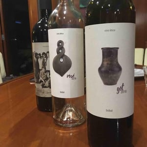 Got - Bodegas Gratias. Familia y Viñedos - ana-gomez-ivan-gomez-silvia-araque-y-jose-gomez