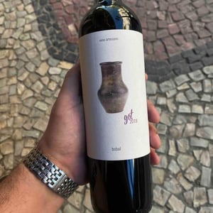 Got - Bodegas Gratias. Familia y Viñedos - ana-gomez-ivan-gomez-silvia-araque-y-jose-gomez