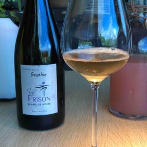 Goustan Brut Nature Blanc de Noirs - Val Frison - Thomas Demarne & Valérie Frison 