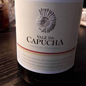 Gouveio - Vale da Capucha - Pedro Marques 