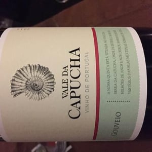 Gouveio - Vale da Capucha - pedro-marques