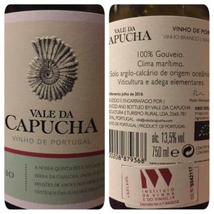 Gouveio - Vale da Capucha - Pedro Marques 