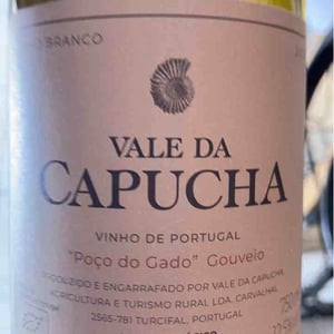 Gouveio - Vale da Capucha - pedro-marques