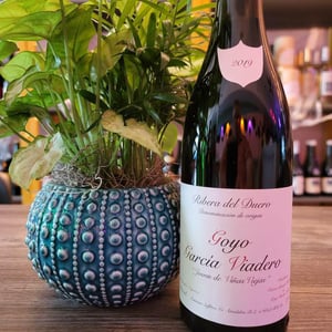 Goyo Garcia Viadero Joven de Viñas Viejas - Goyo Garcia Viadero - goyo-garcia-viadero -2019