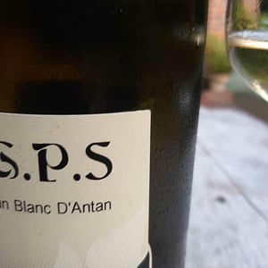 Domaine Pignier - Marie Florence, Antoine & Jean-Etienne Pignier - G.P.S.