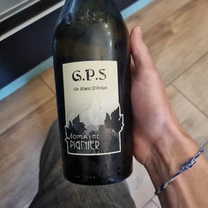 G.P.S. - Domaine Pignier - Marie Florence, Antoine & Jean-Etienne Pignier 