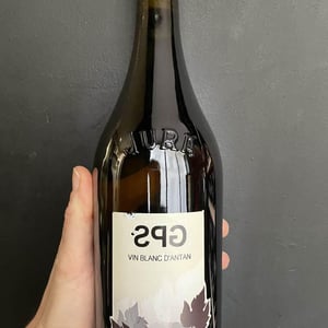 G.P.S. - Domaine Pignier - marie-florence-antoine-jean-etienne-pignier