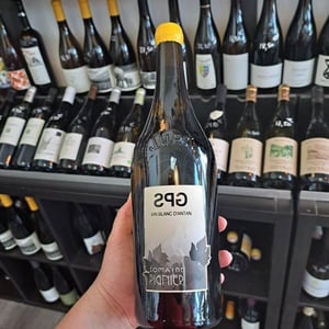 G.P.S. - Domaine Pignier - marie-florence-antoine-jean-etienne-pignier