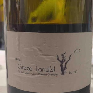 Grace Land(s) - La nouvelle Don(n)e - wilfried-valat -2012