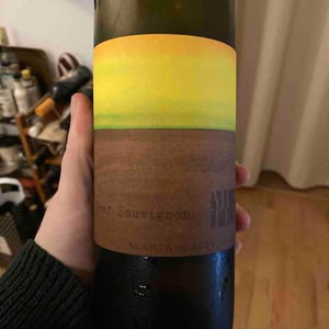 Weingut Muster - Maria & Sepp Muster - Graf Sauvignon