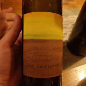 Graf Sauvignon - Weingut Muster - Maria & Sepp Muster 