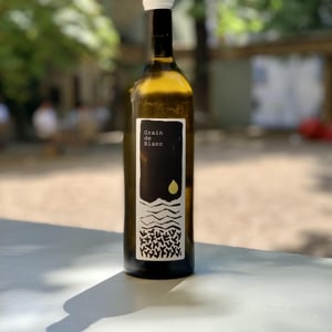 Grain de Blanc - Domaine Beauchamp - jean-regis-valour-bernard-guillou