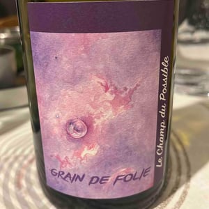 GRAIN DE FOLIE - Le Champ Du Possible - Jacques Pierre -2023