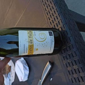 Grains De Folie - Domaine de Mirebeau - Bruno Rochard 