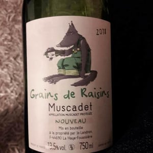 Grains de Raisins 2018