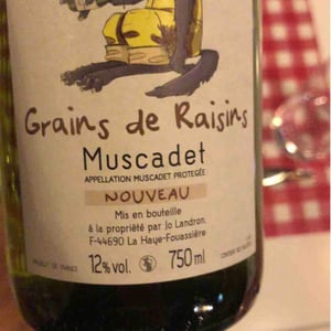 Grains de Raisins - Domaine Jo Landron - jo-landron
