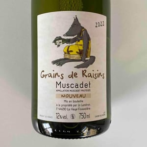 Grains de Raisins 22