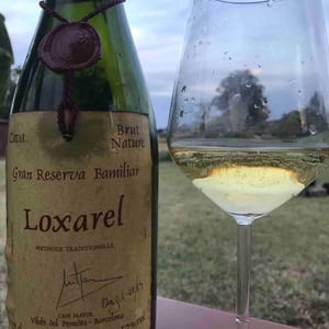 Gran Reserva Familiar Brut Nature - Loxarel - Josep Mitjans 