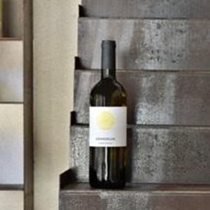 Gran selva - Mauro saule - Mauro saule 