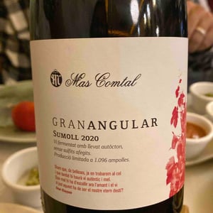Granangular - Mas Comtal - Albert Milan I Mallofre -2020