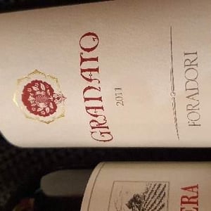 Azienda Agricola Foradori - Elisabetta Foradori - Granato