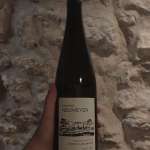 Grand Cru Bruderthal - Domaine Neumeyer - jerome-neumeyer-frederic-tonner-marie-neumeyer-tonner