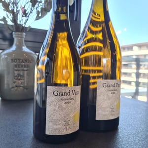Grand Vau - Terra Vita Vinum - benedicte-luc-briand -2020
