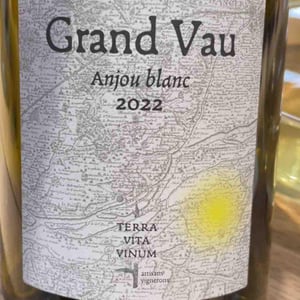 Grand Vau - Terra Vita Vinum - Bénédicte & Luc Briand -2020