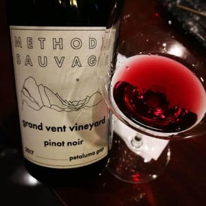 Grand Vent Vineyard Pinot Noir - Methode Sauvage - Iruai - Chad Hinds 