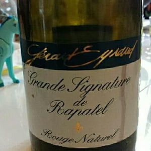 Grande Signature de Rapatel 2020 - Domaine de Rapatel - Gérard Eyraud -2006