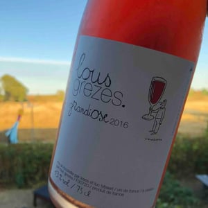 Grandiose - Domaine Lous Grèzes - luc-trees-lybaert