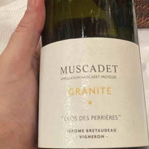 Domaine de Bellevue - Jérôme Bretaudeau - Granit