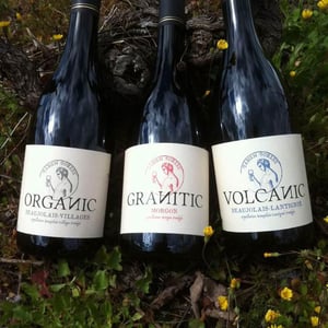 Granitic - Fabien Forest - fabien-forest