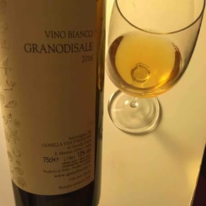 Granodisale - Gonella Vini - giulia-rosa-lidia-gonella-davide-vanni