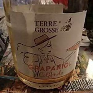 Grapariol Colfondo 2017 - Terre Grosse - famiglia-toninato -2019