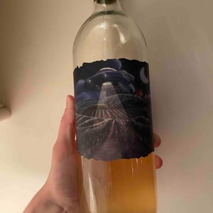 Grape Abduction Company Orange - Gönc Winery / Grape Adbuction - peter-gonc